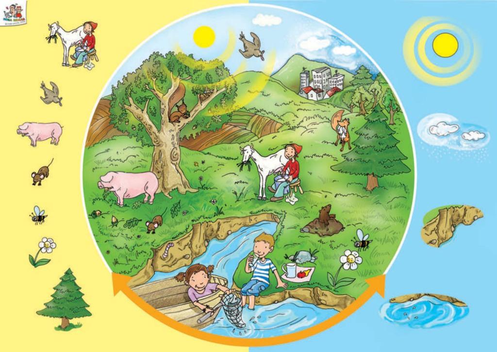 Komplet od 10 edukativnih zidnih postera 11
